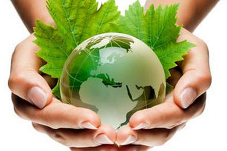 建设项目环境影响报告表(公示本)