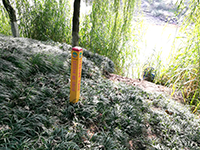 泸县县城供水复线工程水土保持设施验收报告(公示本)